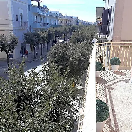 Oda ve Kahvaltı Miccoli 3*